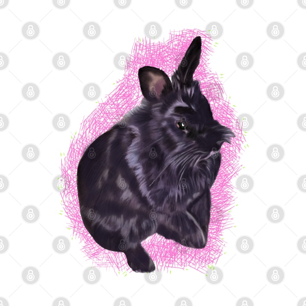 bunny rabbit cute  ebony colored coloured lionhead bunny rabbit with pink background by Artonmytee