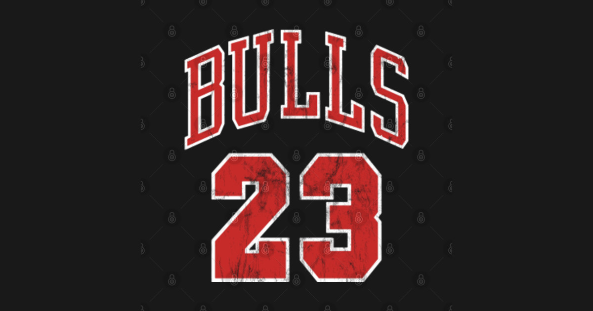 Michael Jordan #23 retro practice jersey distressed - Jordan - Kids T