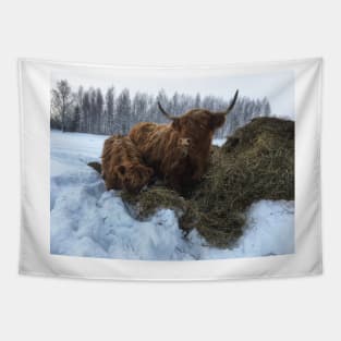 Scottish Highland Cattle Cow and Calf 1892 Tapestry