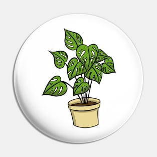 Cheese plant Pin