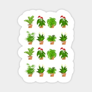 Vegetable design Magnet