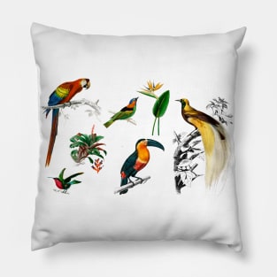 exotic birds Pillow