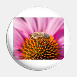 Bee 11 Pin