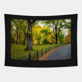 Fall Path in the Park Tapestry