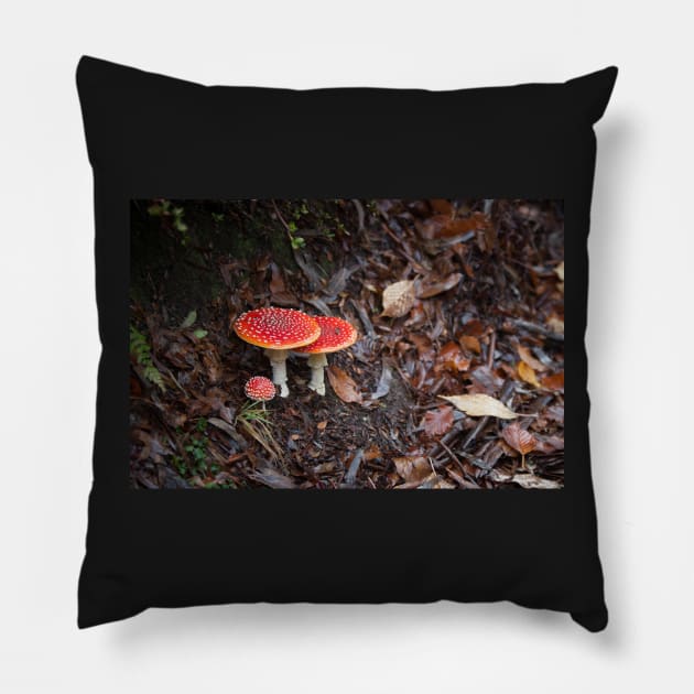 Fly Agaric Pillow by melbournedesign