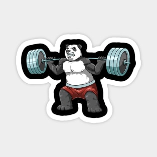 Panda Bodybuilding Hustle For That Muscle Magnet