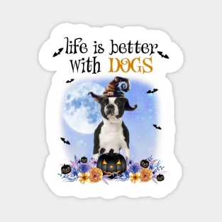 Boston Terrier Witch Hat Life Is Better With Dogs Halloween Magnet