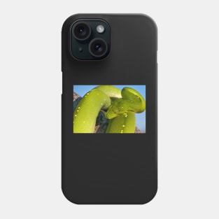 Green Tree Python, Australian Reptile Phone Case