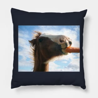 Carrot Kisses Pillow