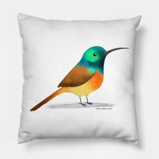 Orange Breasted Sunbird Pillow