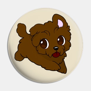 cute browne puppy Pin