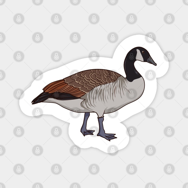 Drawing of a Canada Goose Magnet by Modern Medieval Design