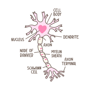 Neuron Diagram Heart Pink Brown T-Shirt