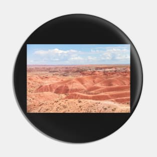 Painted Desert Pin