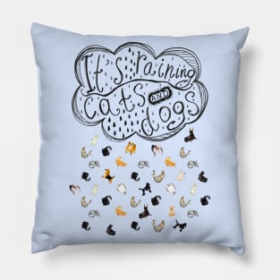 It's raining cats and dogs. Falling raindrops with cats and dogs. Pillow