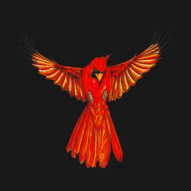 Cardinal Landing by Redmonks