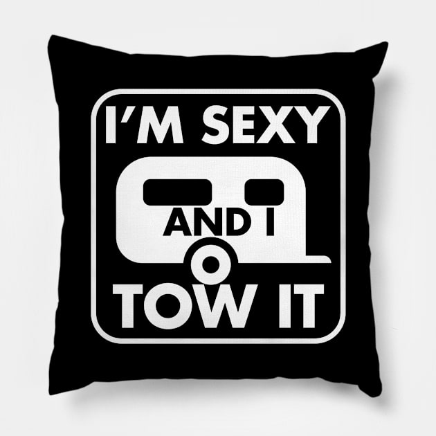 Sexy and I Tow It Pillow by LittleBoxOfLyrics