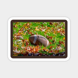 Touchdown!  football on a leafy field Magnet