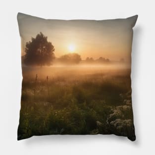 Sunrise over a green meadow fog rises in the summer Pillow