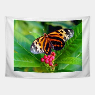 Tigerwing Butterfly Tapestry