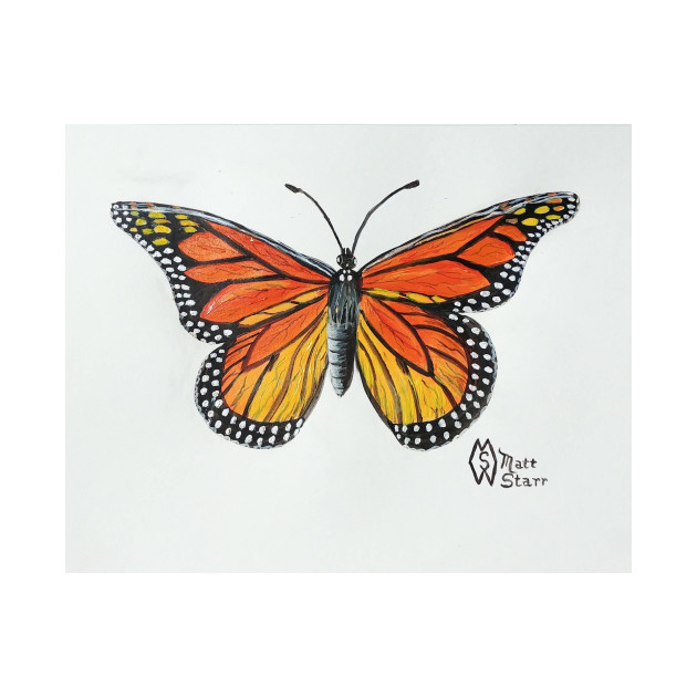 Monarch Butterfly by Matt Starr Fine Art