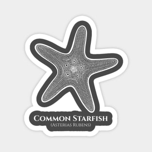 Common Starfish with Common and Latin Names - animal drawing Magnet