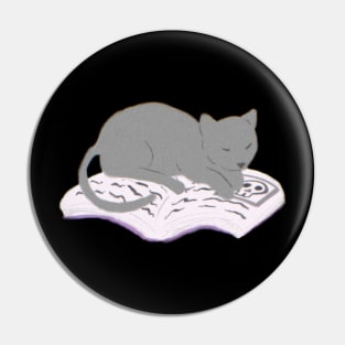 Witchy Kitty Sleeping Pin