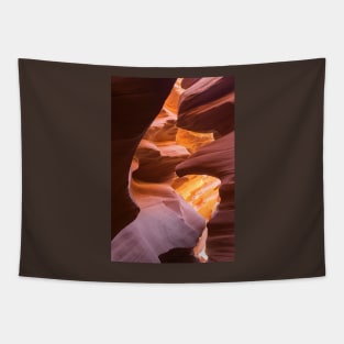 canyon 2 Tapestry