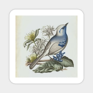 Vintage bird Magnet