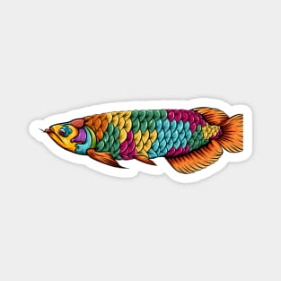 arowana fish colorful Magnet