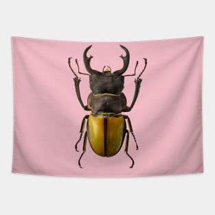 Coleoptera Tapestry