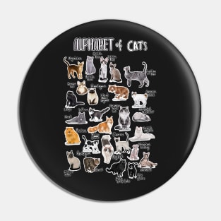 Types of cats alphabet a-z abc cat identification cat lover Pin