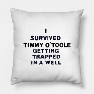 I Survived Timmy O' Toole Getting Trapped in a Well Pillow