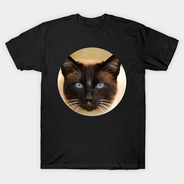 Meow Kitty Cat Kat Kittens Kitten Meow Cute Cats Kitty Cats T