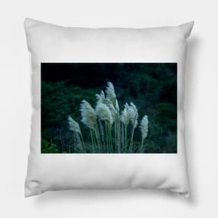 alb pampas grass Pillow