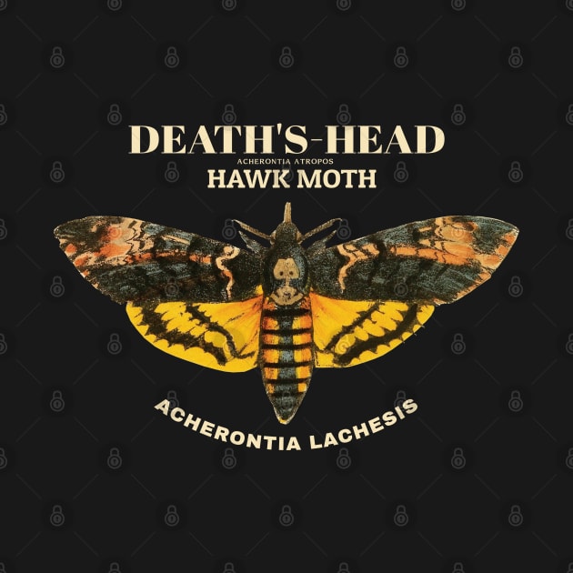 Death's-head hawkmoth by KewaleeTee