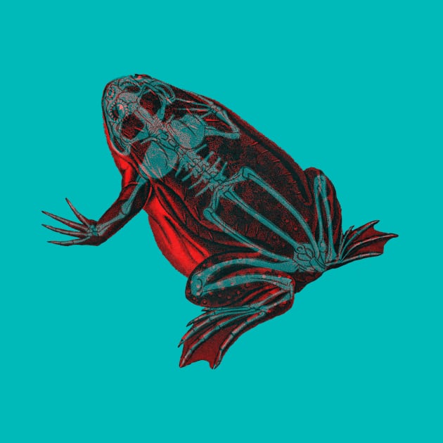 Skeleton Frog Interactive Red&Blue Filter by RedAndBlue