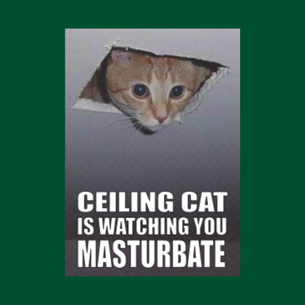Ceiling Cat Ceiling Cat Is Watching You Memes Koszulka