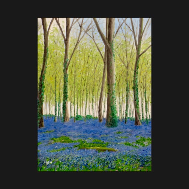 The Bluebell Wood by richardpaul