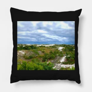 The dunes at Sandy Neck Beach Pillow