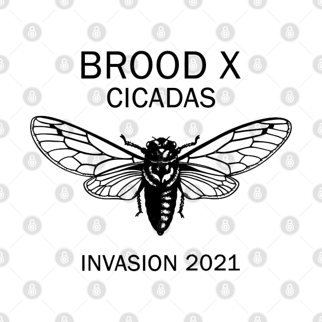 Cicada Brood X 2021 by valentinahramov