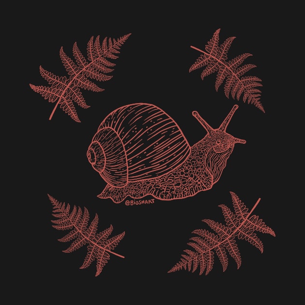 Snail with ferns (red) by Bioshart