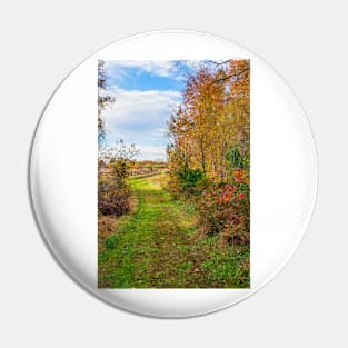 Autumn Meadow Landscape Pin