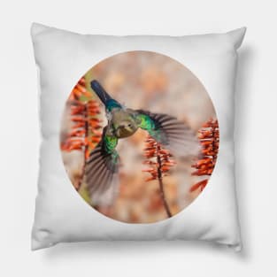 Sunbird and Aloes Pillow