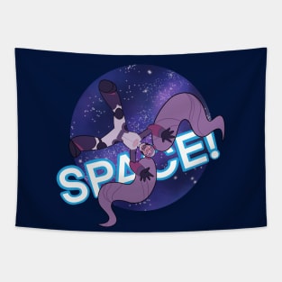 Space Tapestry