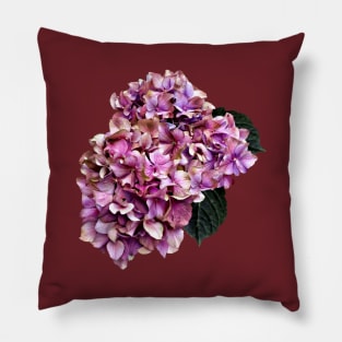 Hydrangeas - Pink and Purple Hydrangea Pillow