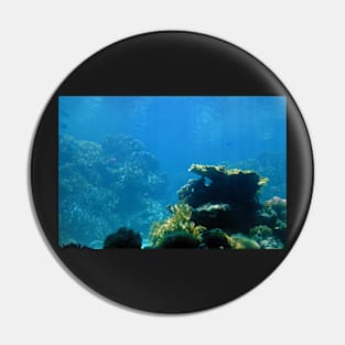 Underwater Reef Pin