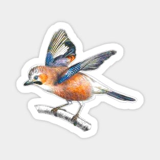 birdie Magnet