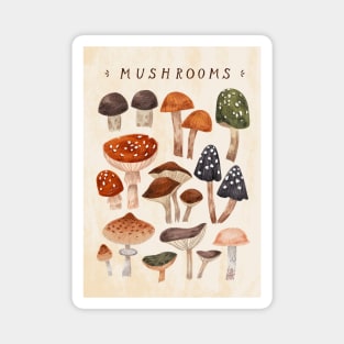Mushrooms vol.1 Magnet
