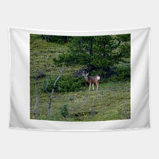 Canadian Buck Tapestry